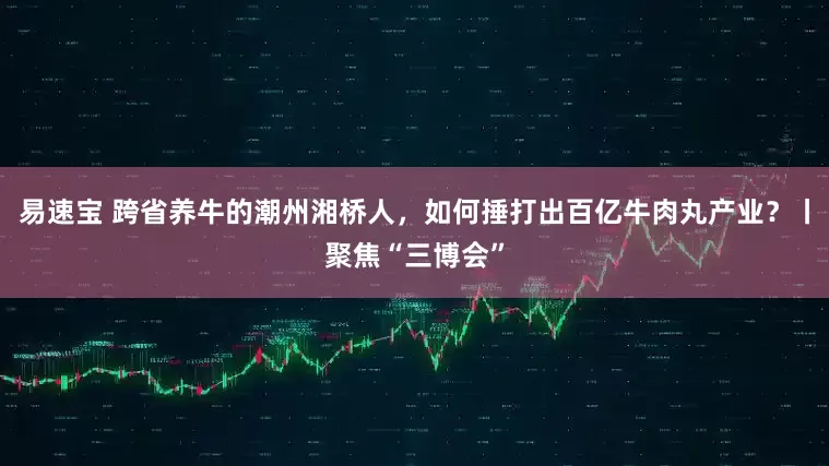 易速宝 跨省养牛的潮州湘桥人，如何捶打出百亿牛肉丸产业？丨聚焦“三博会”