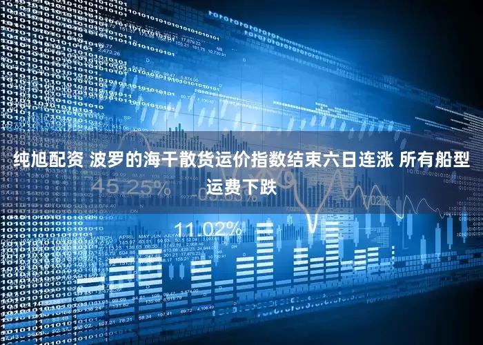 纯旭配资 波罗的海干散货运价指数结束六日连涨 所有船型运费下跌