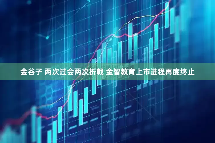 金谷子 两次过会两次折戟 金智教育上市进程再度终止