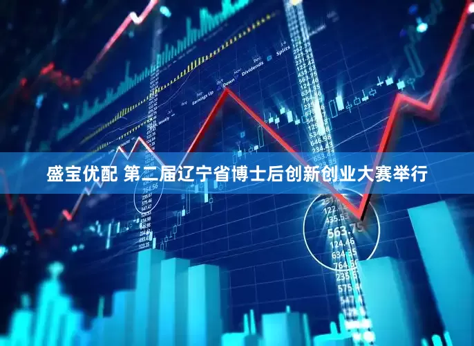 盛宝优配 第二届辽宁省博士后创新创业大赛举行