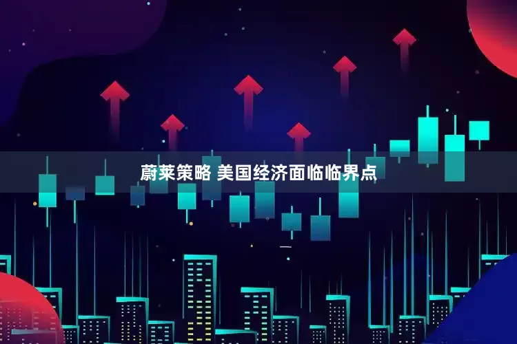 蔚莱策略 美国经济面临临界点