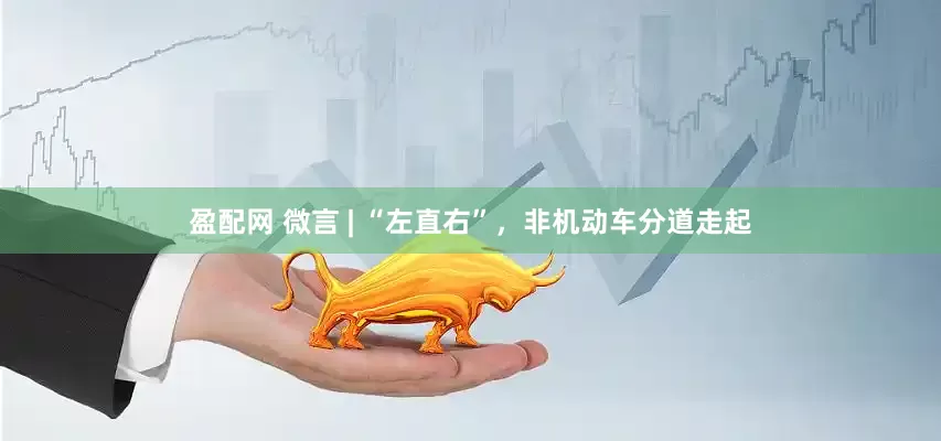 盈配网 微言 | “左直右”，非机动车分道走起